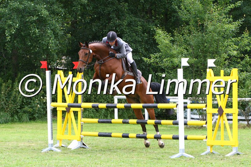 007L8263_Lilly Marleen_Spring_L.JPG